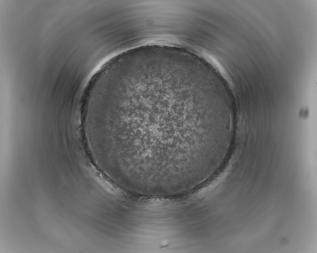 X0000090440923200707272151