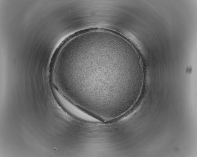 X0000090440924200707272151