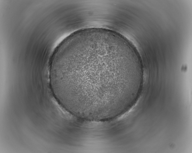 X0000090440925200707272151