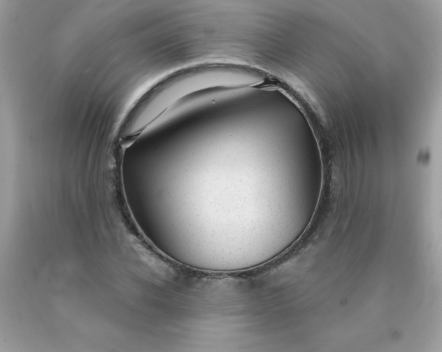 X0000090440926200707272151