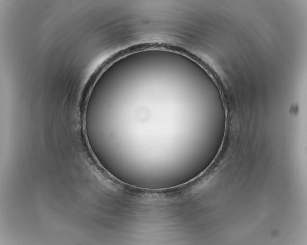 X0000090440927200707272151