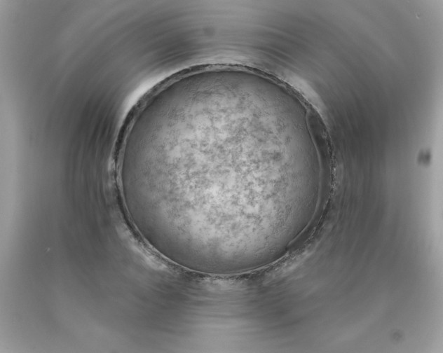 X0000090440928200707272151