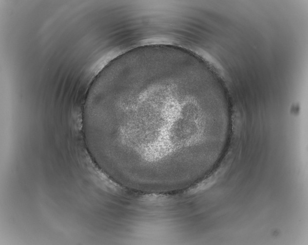 X0000090440929200707272151