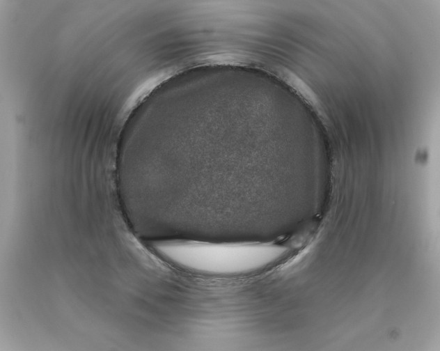 X0000090440930200707272151