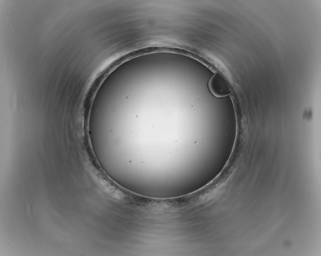 X0000090440931200707272151