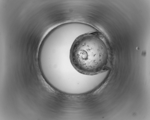 X0000090440932200707272151