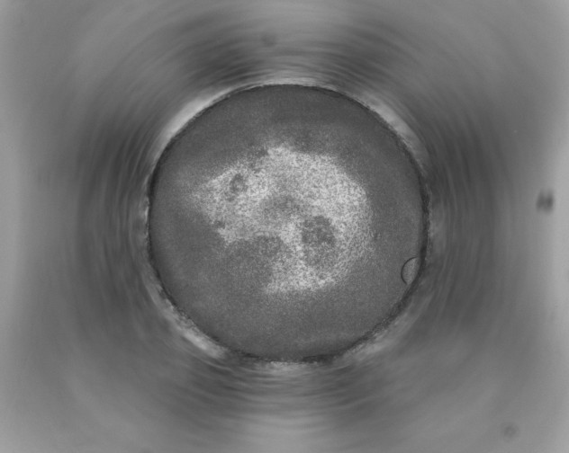 X0000090440933200707272151