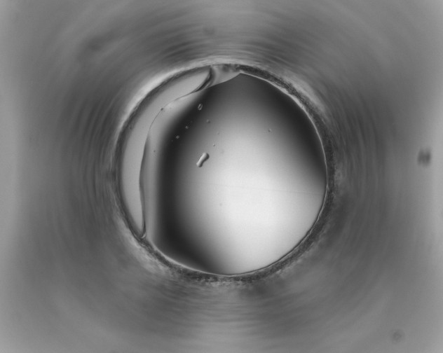 X0000090440934200707272151