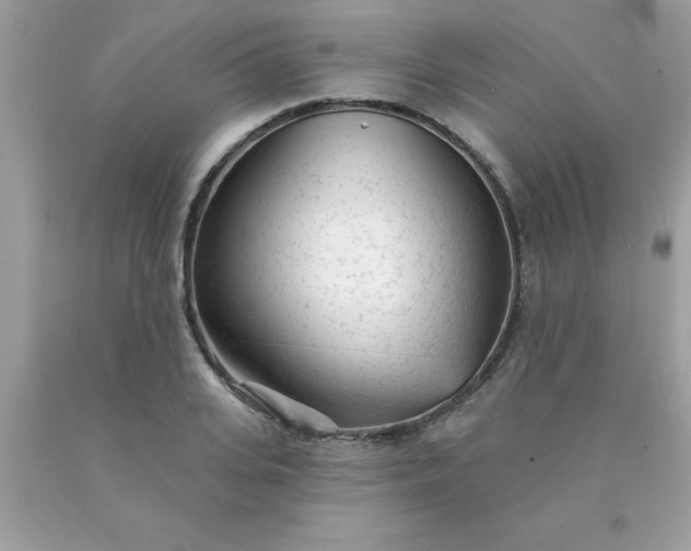 X0000090440935200707272151