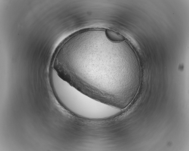 X0000090440936200707272151