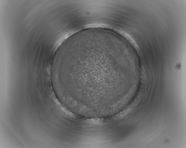 X0000090440937200707272151