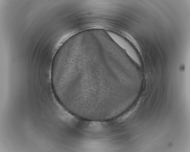 X0000090440938200707272151