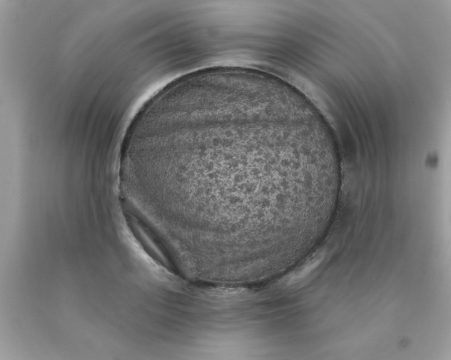 X0000090440939200707272151