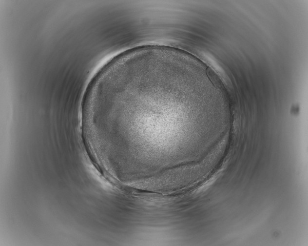 X0000090440940200707272151