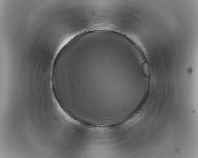 X0000090440941200707272151