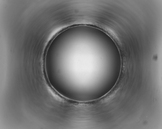 X0000090440942200707272151