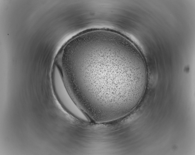 X0000090440943200707272151