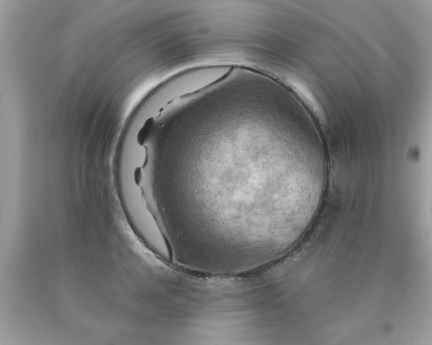 X0000090440944200707272151