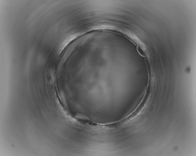 X0000090440945200707272151