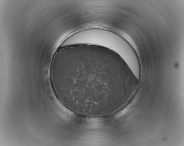 X0000090440946200707272151