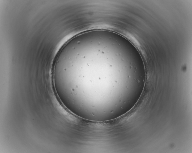 X0000090440947200707272151