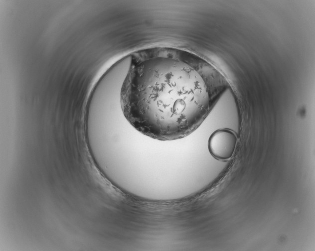 X0000090440948200707272151