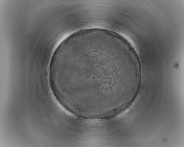 X0000090440949200707272151