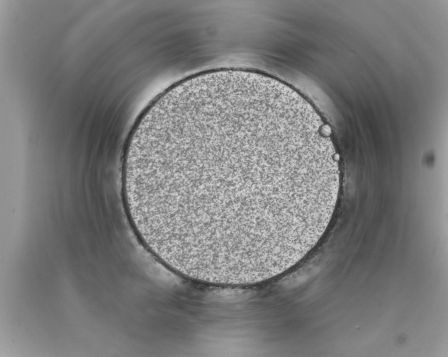 X0000090440950200707272151