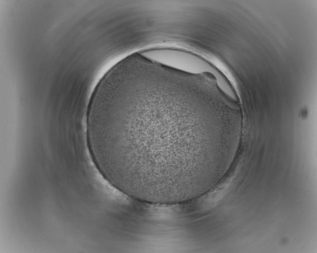 X0000090440951200707272151