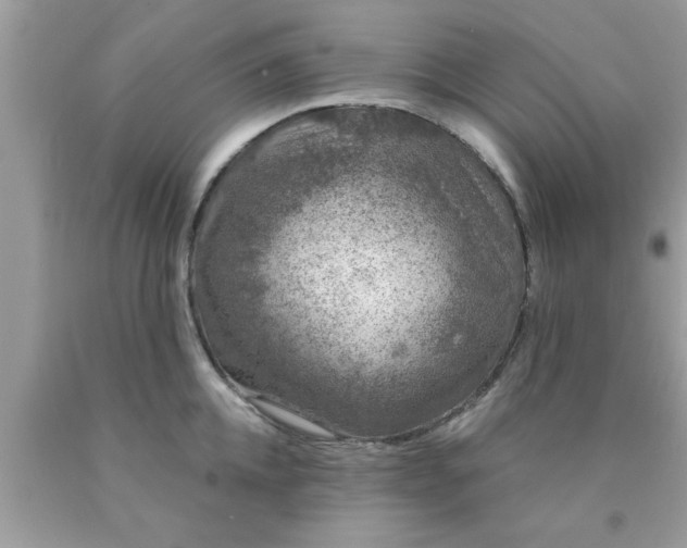 X0000090440952200707272151