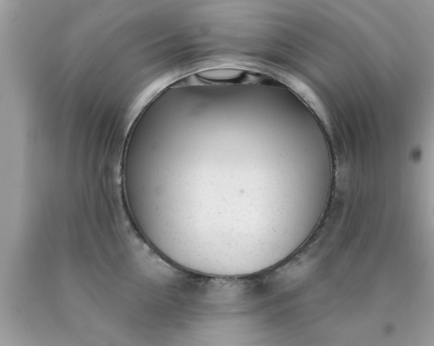 X0000090440954200707272152