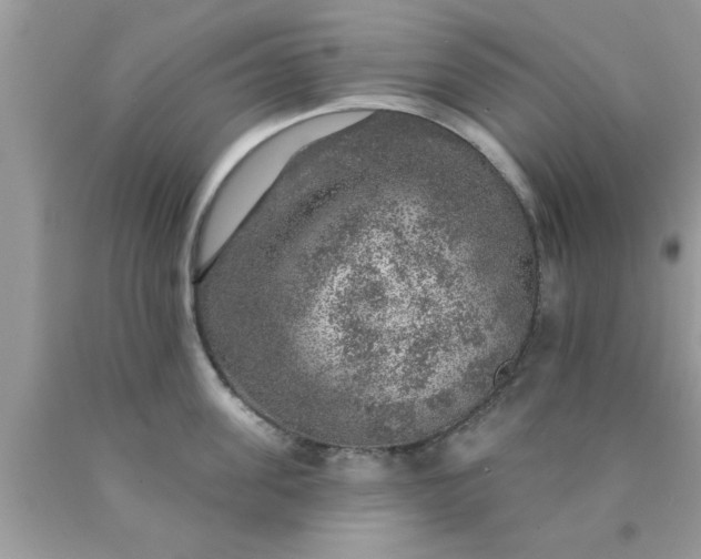 X0000090440955200707272152