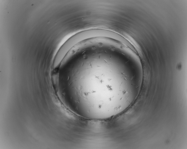 X0000090440956200707272152