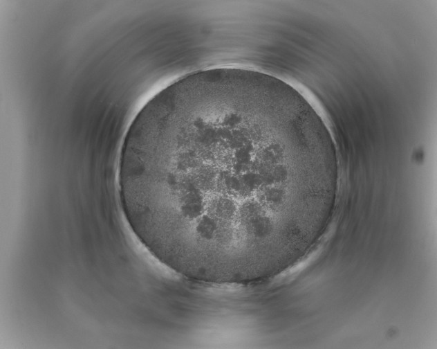 X0000090440957200707272152