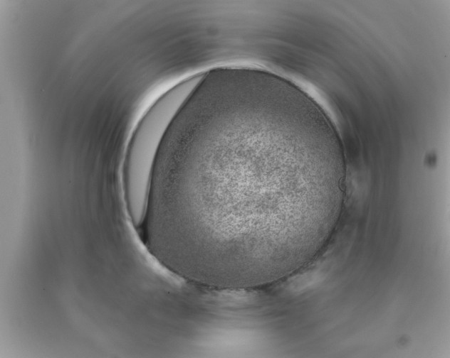 X0000090440959200707272152