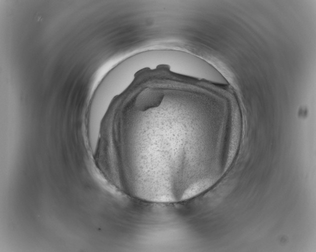 X0000090440960200707272152