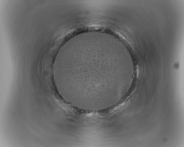 X0000090440961200707272151