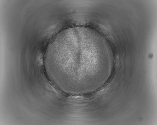 X0000090440962200707272151