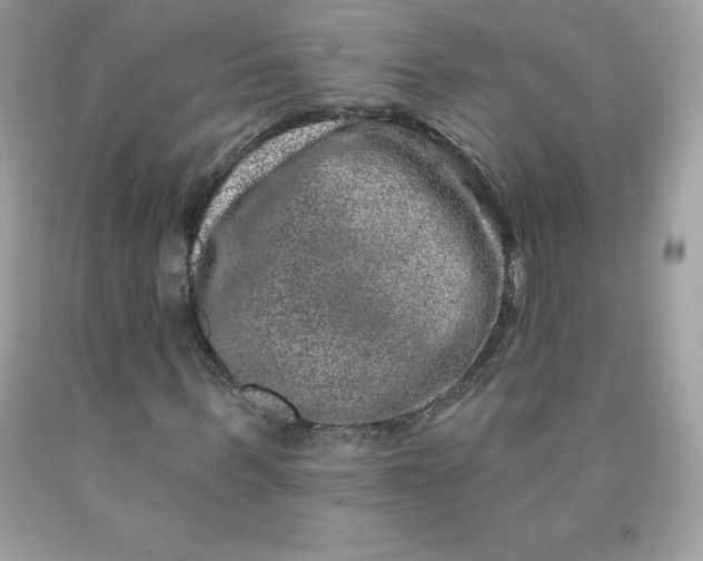 X0000090440963200707272151