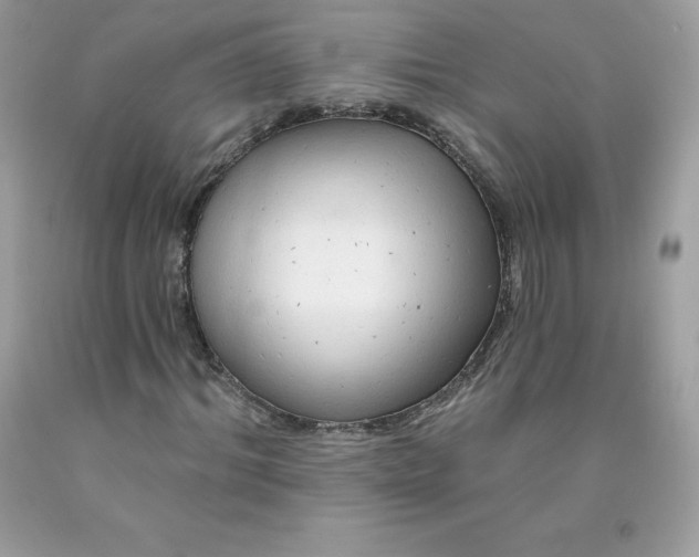 X0000090440964200707272151