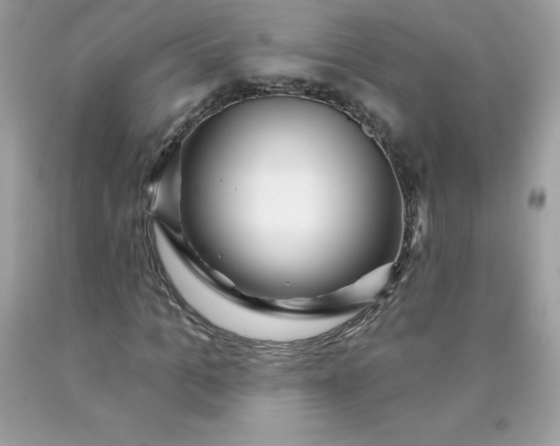 X0000090440965200707272151