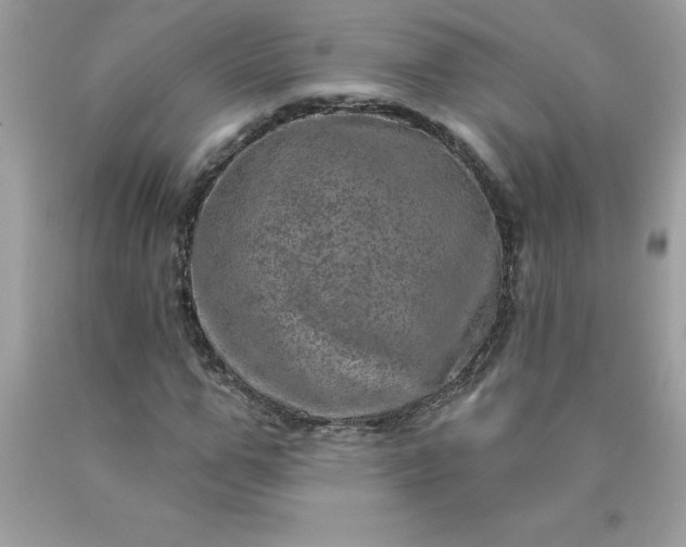 X0000090440967200707272151