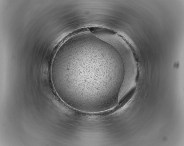 X0000090440969200707272151