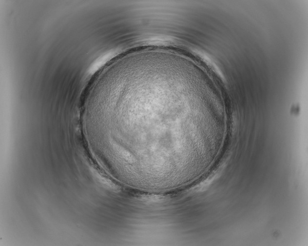 X0000090440970200707272151