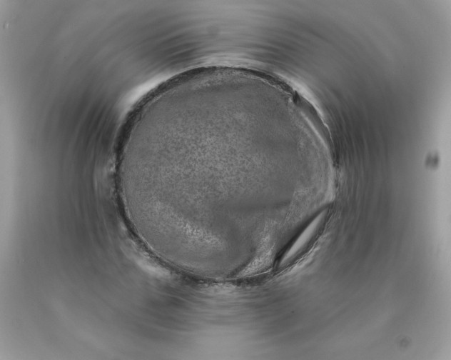 X0000090440971200707272151