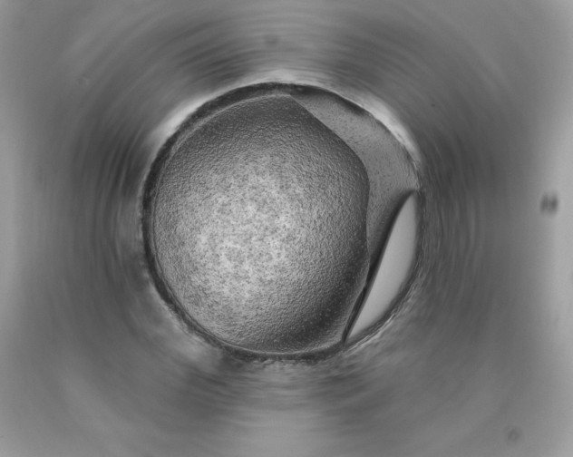 X0000090440972200707272151