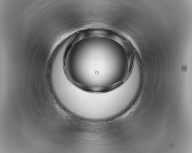 X0000090440973200707272151