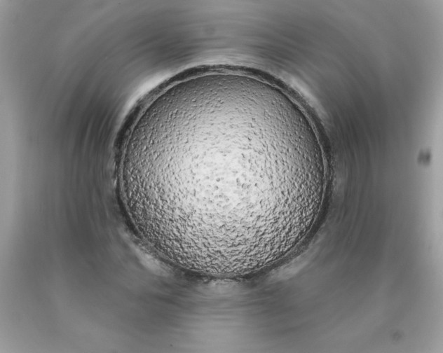 X0000090440974200707272151