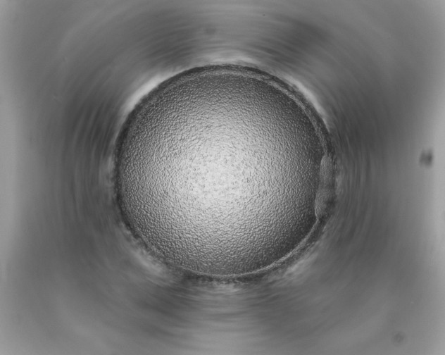 X0000090440975200707272151