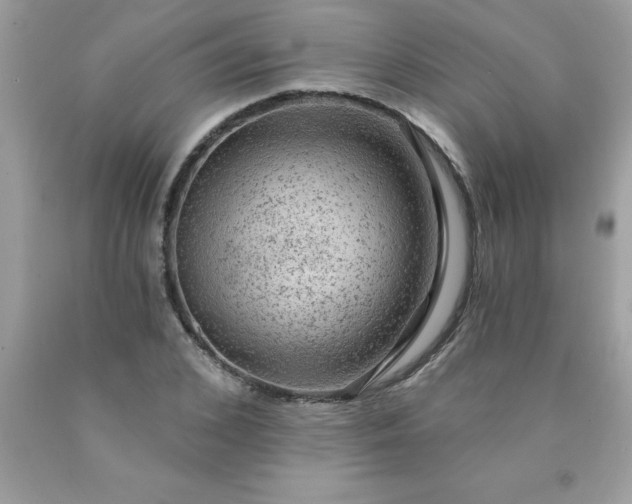 X0000090440976200707272151